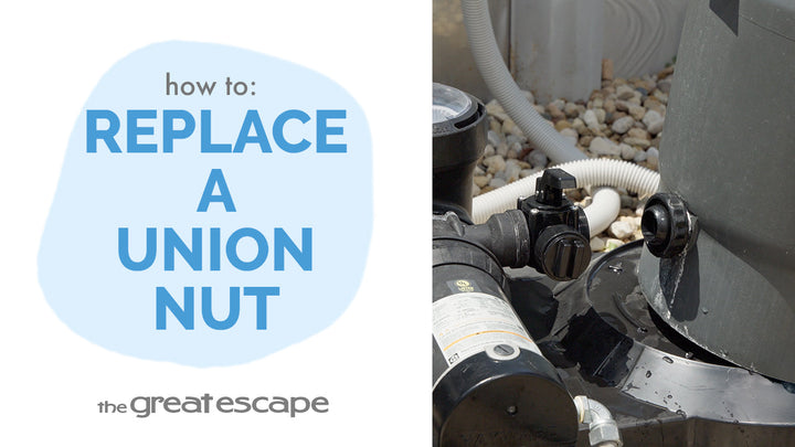 Nutty About Filtration: Swapping Your Hayward Union Nut