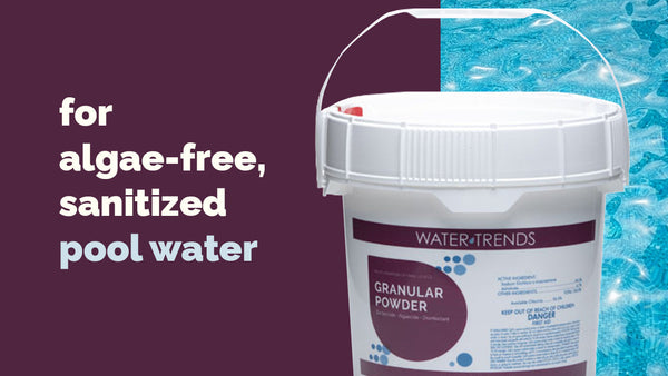Granular Powder: The Clear Choice for Pool Clarity