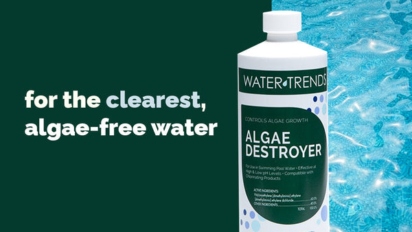 Eradicate Algae with Algae Destroyer
