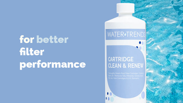 Revitalize Your Pool with Cartridge Clean & Renew
