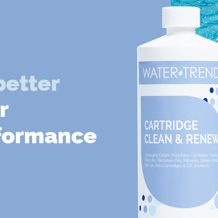Revitalize Your Pool with Cartridge Clean & Renew