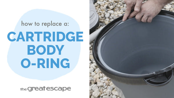 Seal the Deal: Replacing Your Pool Filter's O-Ring
