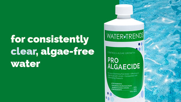 Defeat Algae with Ease with Pro Algaecide