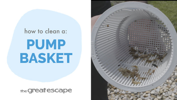 The Proper Way to Clean Your Pool's Pump Basket