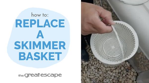 How to Replace a Hayward Skimmer Basket: A Quick and Easy Guide