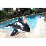 Jumbo Whale Inflatable Ride On - The Great Escape