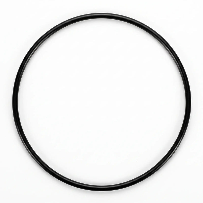 Standard Vision Vessel O-Ring - The Great Escape