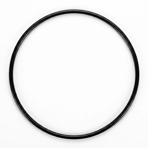 Standard Vision Vessel O-Ring - The Great Escape