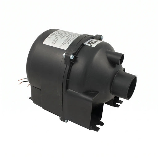 Sundance® 240V Blower Motor Assembly - The Great Escape