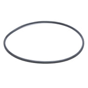 Body O-Ring For ASL Filter - The Great Escape