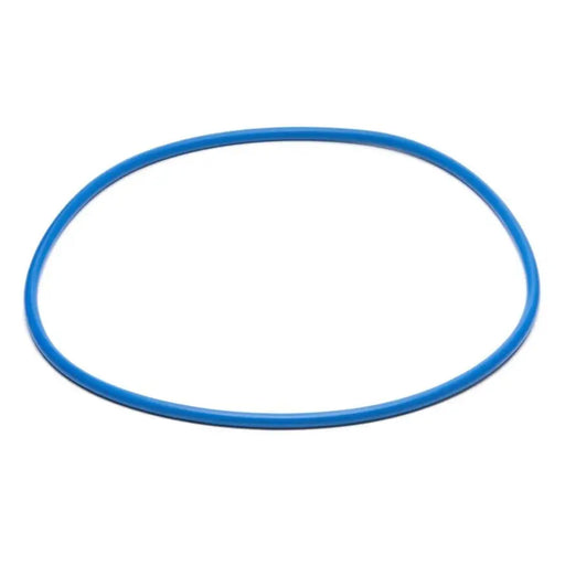 Valve/Tank O-Ring - The Great Escape