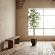 7' Artificial Black Olive Tree in Planter - The Great Escape