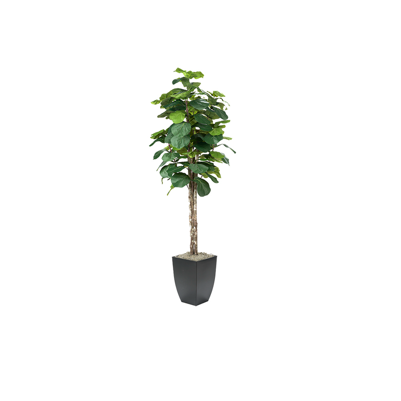 fiddle leaf fig faux plant Fiddle Leaf Tree