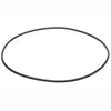 Voyager Body O-Ring