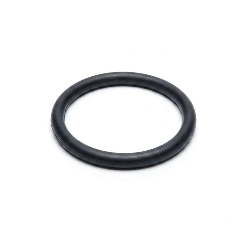 Strainer Pump Connector O-Ring - The Great Escape
