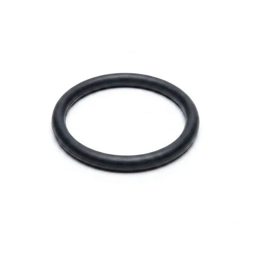 Strainer Pump Connector O-Ring - The Great Escape