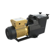1.0HP 110/220 Self Priming Super Pump & Extended 2 Year Warranty - The Great Escape