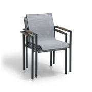 Mesa Sling Dining Arm Chair - The Great Escape
