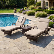 Waveland Woven Chaise Lounges (2 Pack) Coffee - The Great Escape