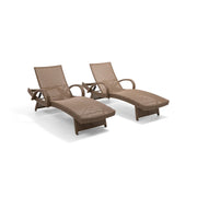 Waveland Woven Chaise Lounges (2 Pack) Driftwood - The Great Escape