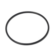 Hayward Chlorinator Cover O'Ring - The Great Escape