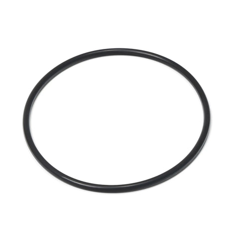 Hayward Chlorinator Cover O-Ring - The Great Escape