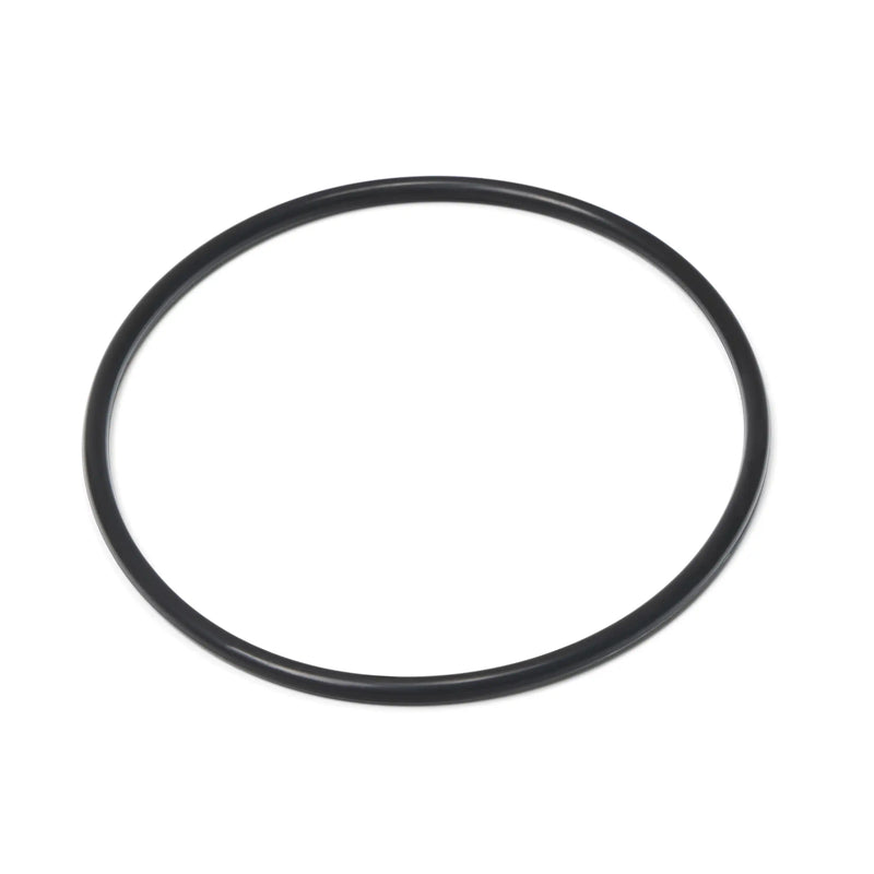 Hayward Chlorinator Cover O'Ring - The Great Escape