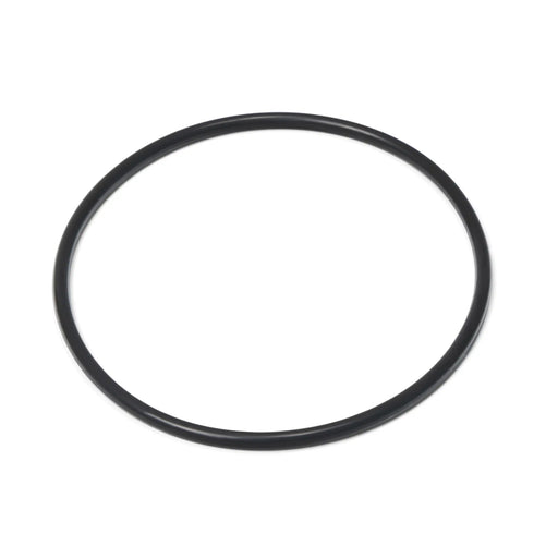 Hayward Chlorinator Cover O'Ring - The Great Escape