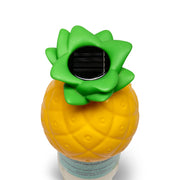 Expandable Pineapple Solar Chlorine Feeder - The Great Escape