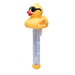 Picture of DERBY DUCK THERMOMETER