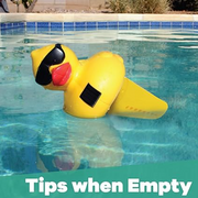 Derby Duck Solar Light Up Adjustable Chlorinator - The Great Escape