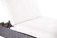 Contempo Woven Chaise W/ Cushion - The Great Escape