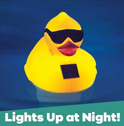 Derby Duck Solar Light Up Adjustable Chlorinator - The Great Escape