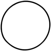 O-Ring For Standard Vision Vessel - The Great Escape