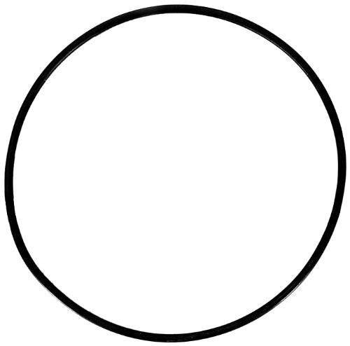 O-Ring For Standard Vision Vessel - The Great Escape