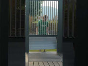 Visscher Sequoia Thumbnail - The Great Escape