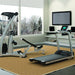 T3 Treadmill With Go Console - The Great Escape