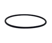 Hayward Chlorinator Cover O-Ring - The Great Escape