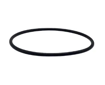 Hayward Chlorinator Cover O-Ring - The Great Escape