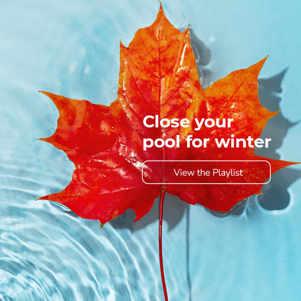 Close your pool for winter, view the playlist on YouTube, includes photo of fall leaf in pool water